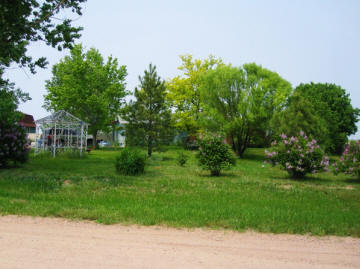 Echo Hill Shelties - Finnegan and Logan