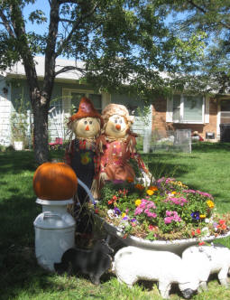 Echo Hill Shelties - Leeann Glee with Sheltie